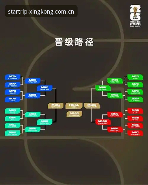 看懂世界杯新规的实战指南——从裁判规则到星空平台观赛