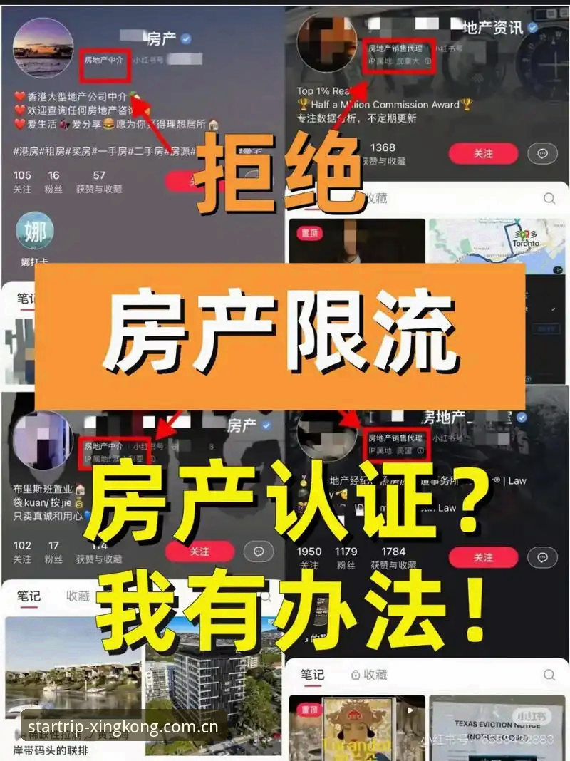 星空在线平台新手上路教程：从安装到赛事跟进的避坑指南
